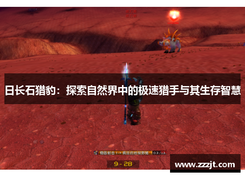 日长石猎豹：探索自然界中的极速猎手与其生存智慧